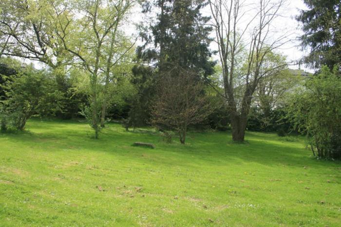Chambres d'Hôtes Les Ifs Montsûrs Extérieur photo